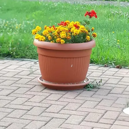 Malina Penzion Donja Rastelica