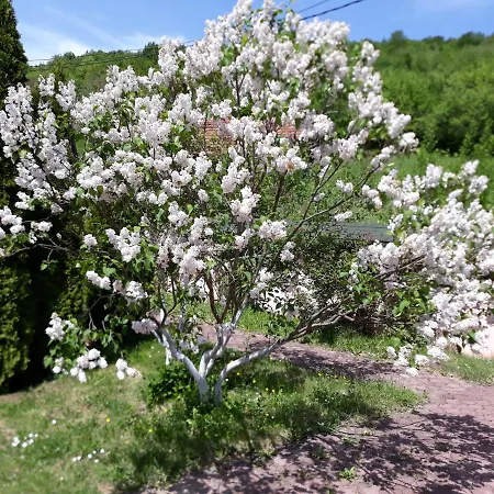 Malina ゲストハウス 4*