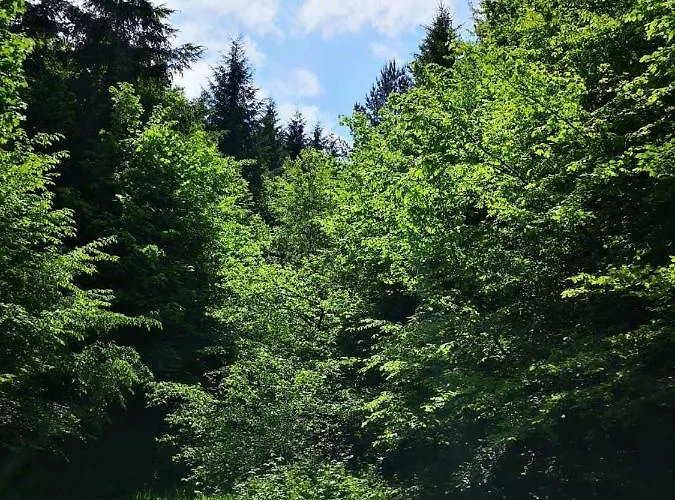 Malina Donja Rastelica