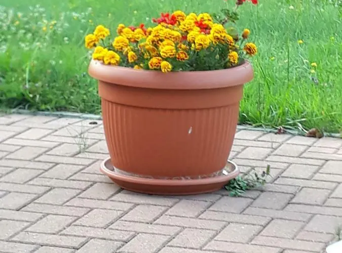 Malina Guest house Donja Rastelica