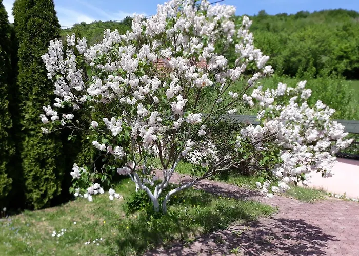 Malina Guest house 4*